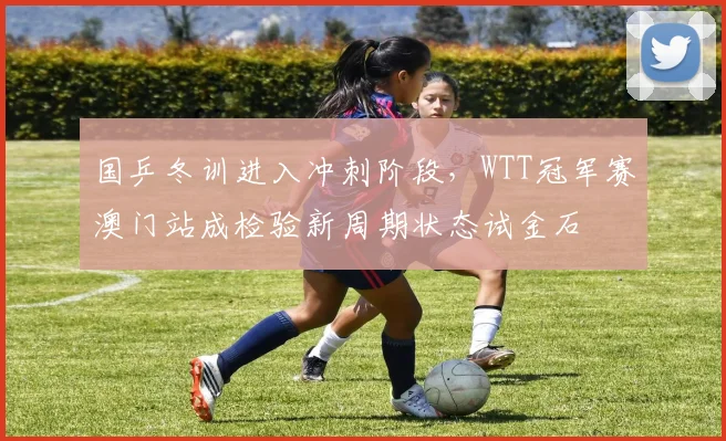 国乒冬训进入冲刺阶段，WTT冠军赛澳门站成检验新周期状态试金石