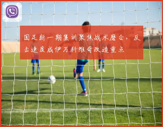 国足新一期集训聚焦战术磨合，反击速度成伊万科维奇改造重点