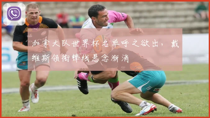 加拿大队世界杯名单呼之欲出，戴维斯领衔锋线悬念渐消