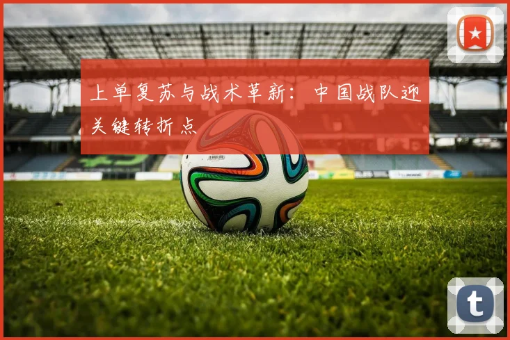 上单复苏与战术革新：中国战队迎关键转折点